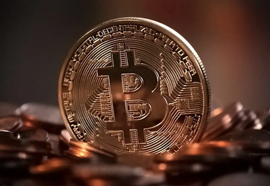 bitcoin-bull