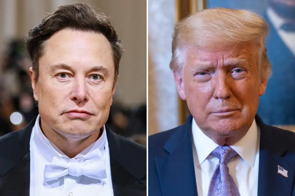 Trump Musk