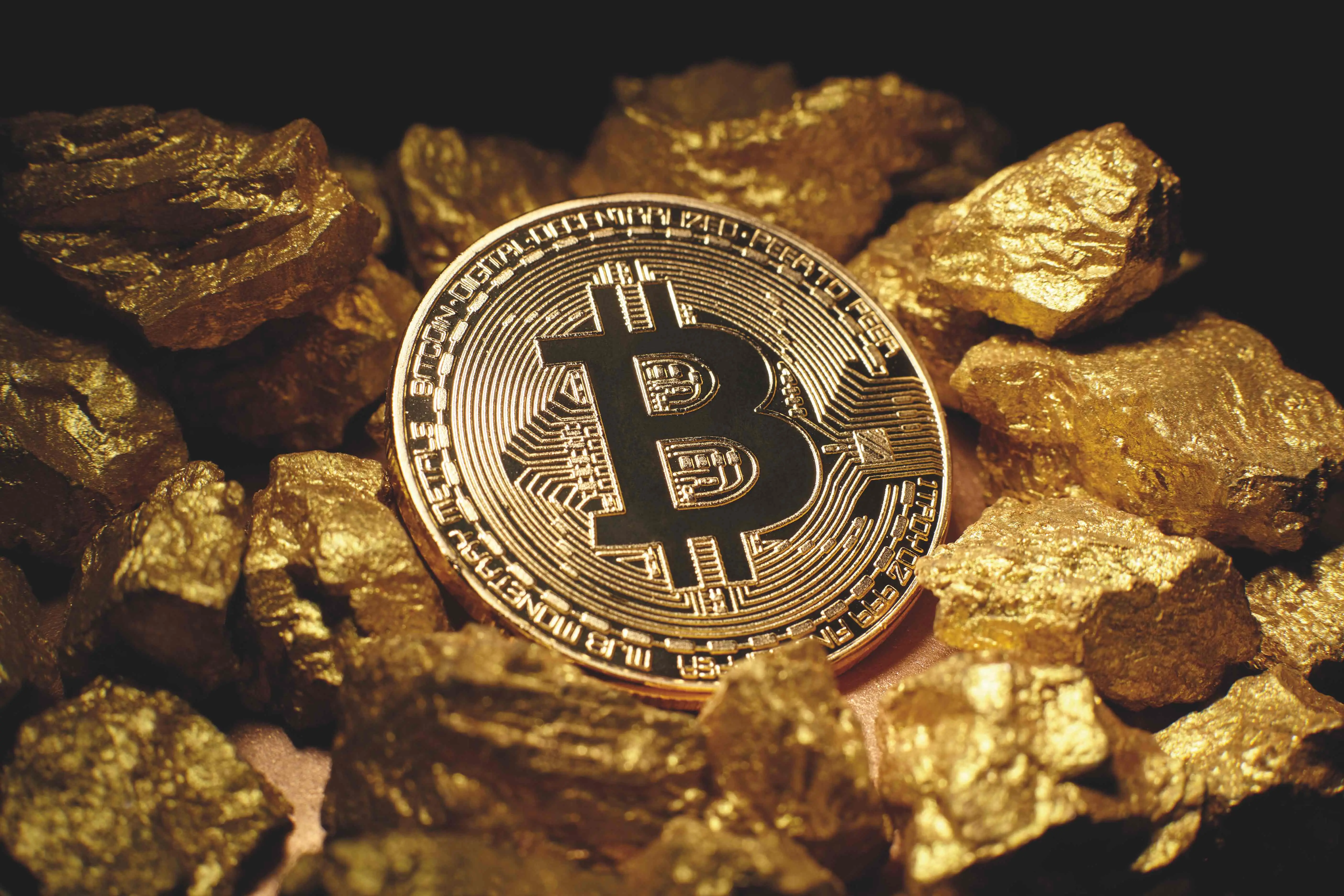 E089d28d E2b6 4cc2 8e7d 6e6177253d9b