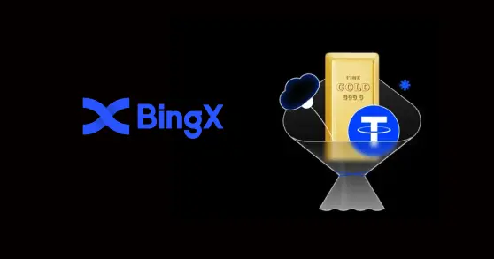 Bingx