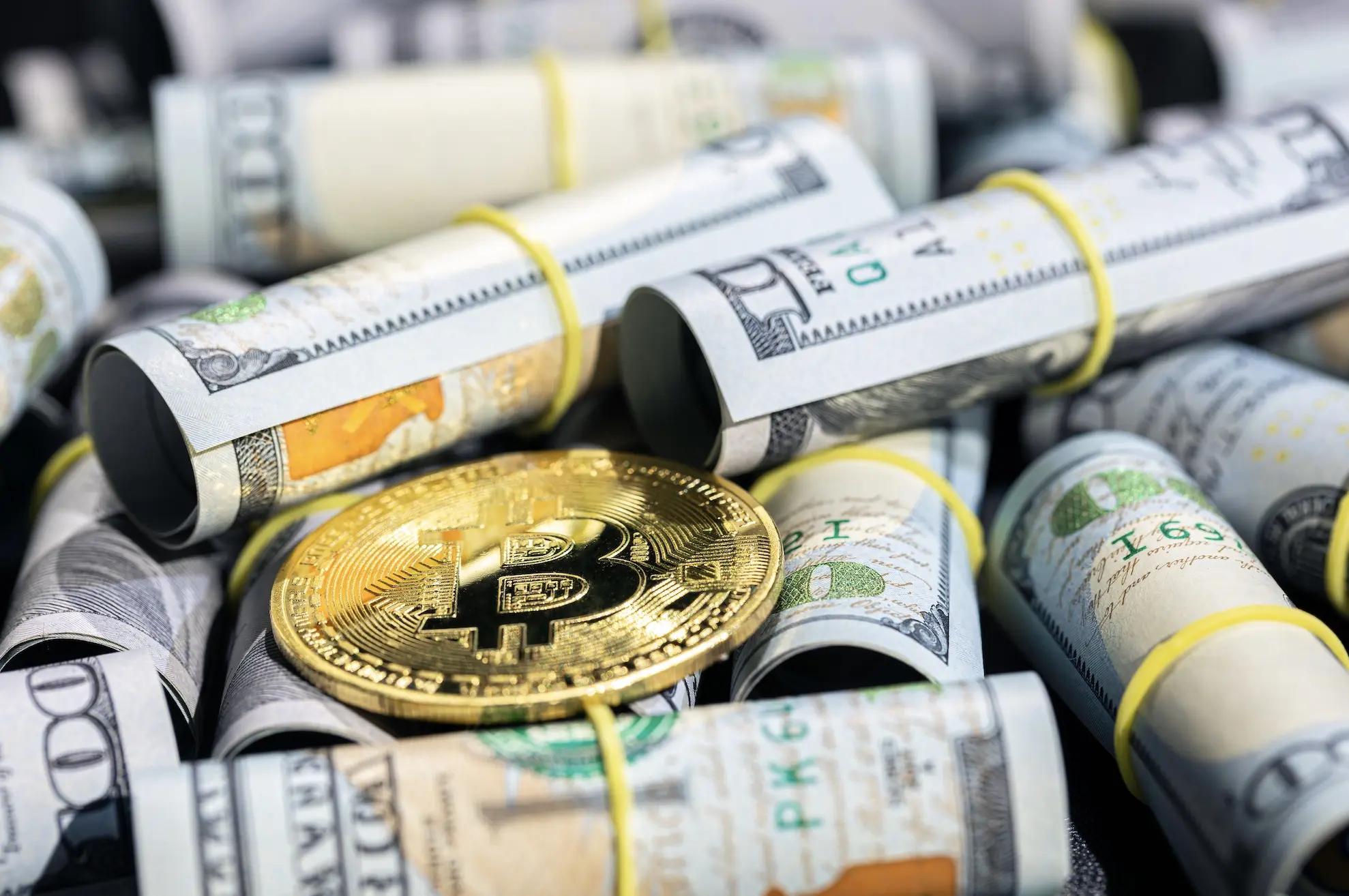 為什麼除了幣圈都在漲