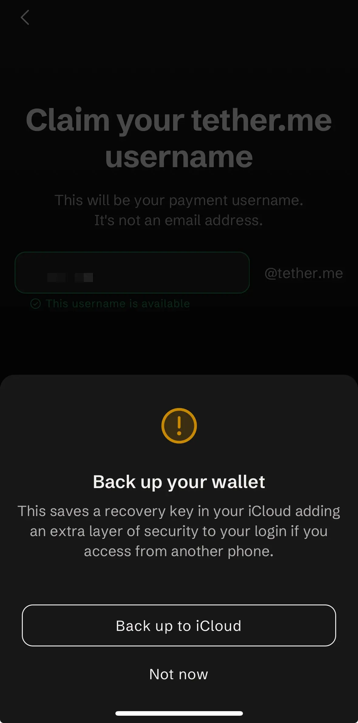 Tether Wallet iCloud 備份提示