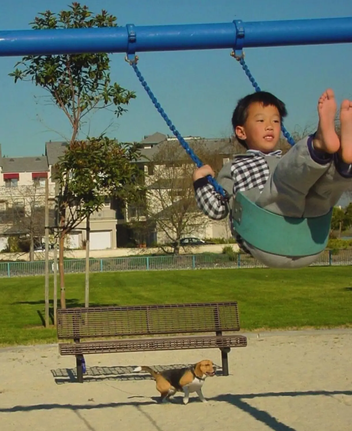 Yan 和他的狗 Max 在 Redwood Shores