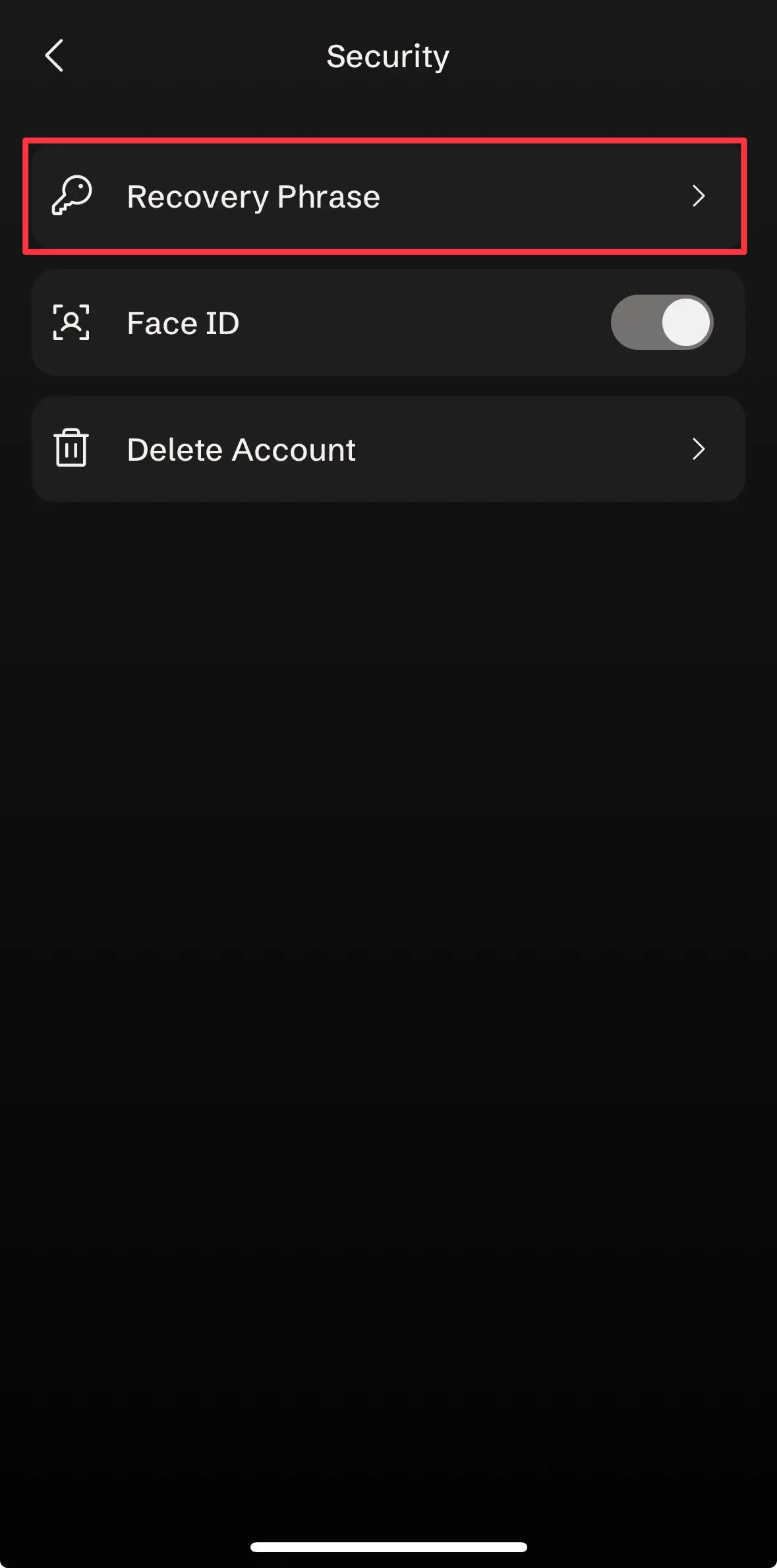 Tether Wallet 安全設定 Recovery Phrase