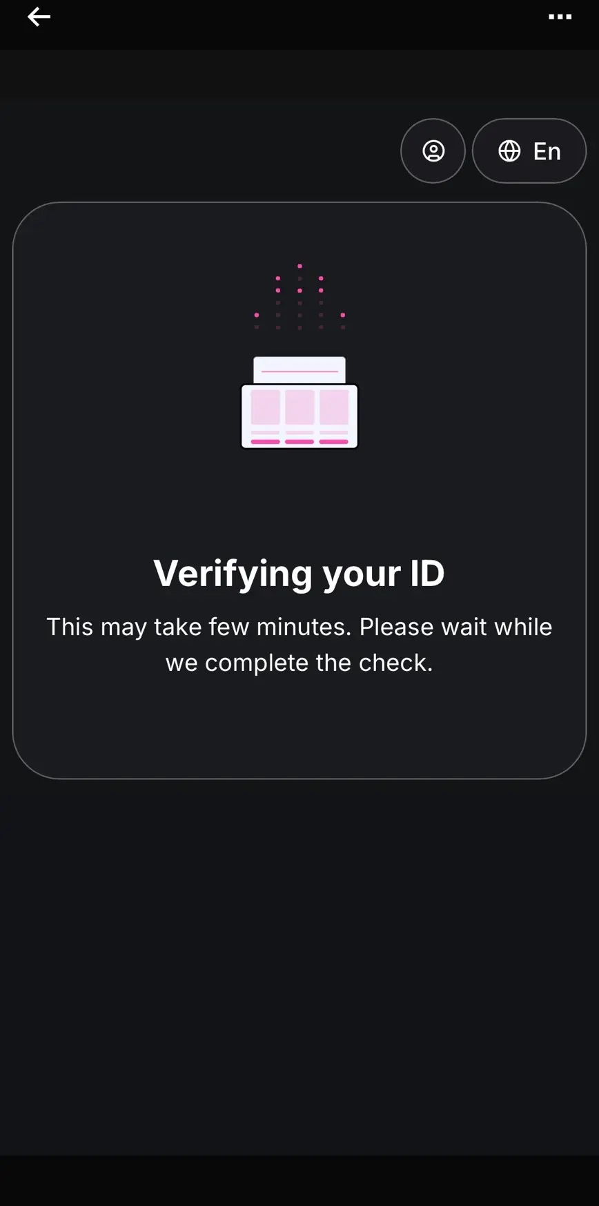 Sumsub 驗證處理中