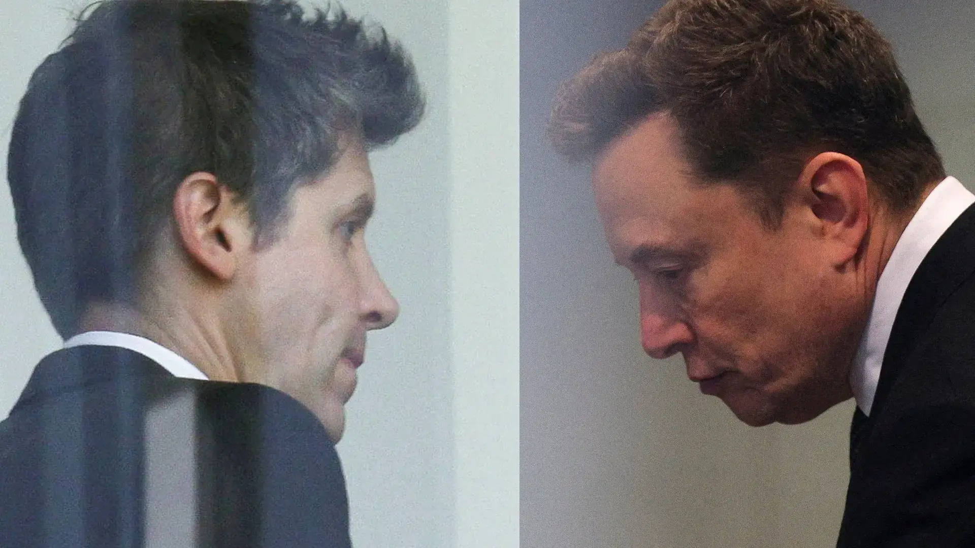 Openai Musk
