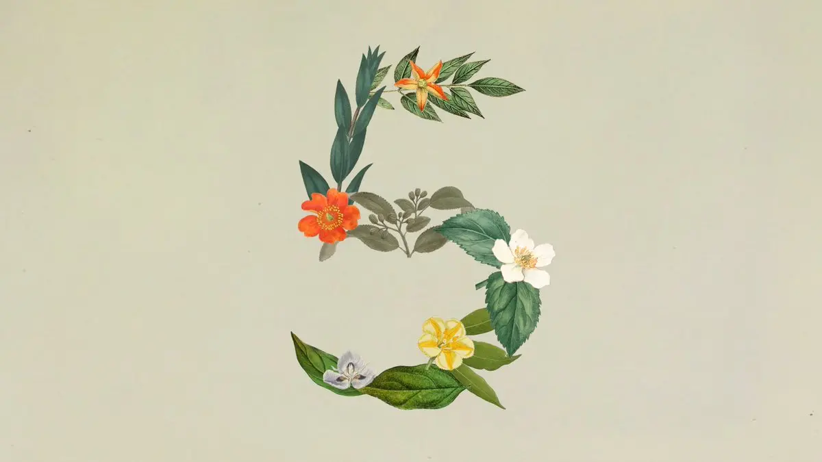Claude Sonnet 5 是什麼？Anthropic 推出新一代 Agentic AI 主力模型
