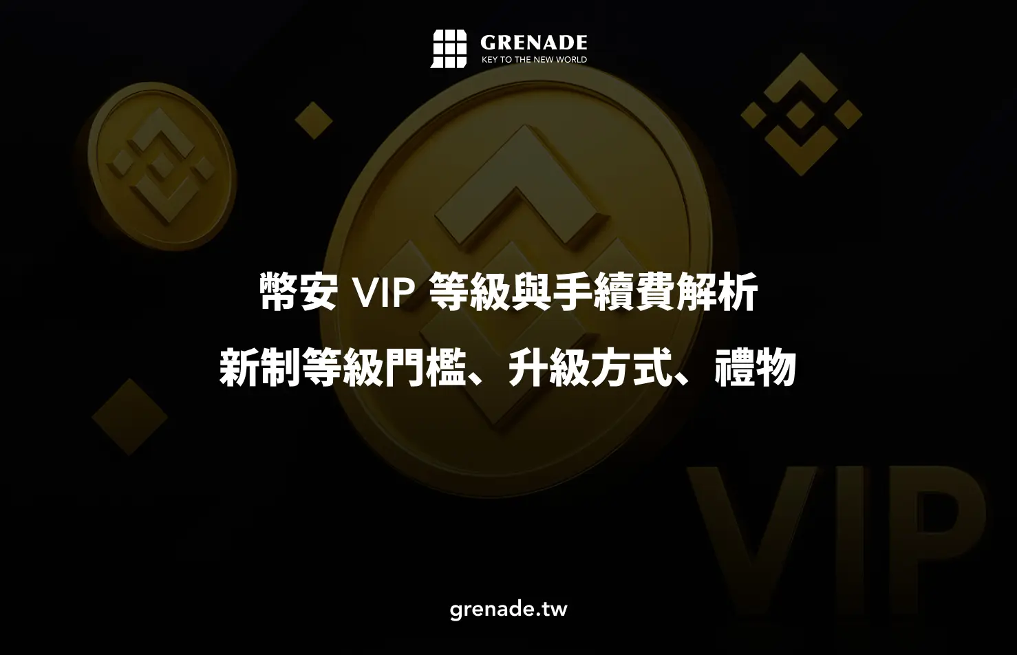 Binance Vip
